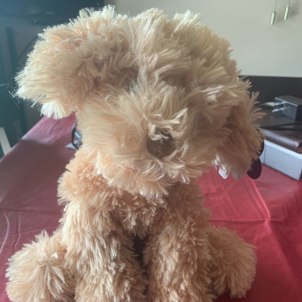 Cockapoo Plushie